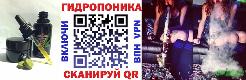 Cannafood конопля  купить  цена  Кондопога 