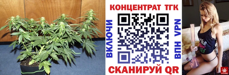 Дистиллят ТГК THC oil нарко площадка состав Кондопога