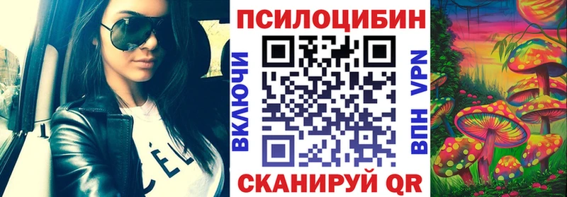 как найти закладки  Кондопога  Псилоцибиновые грибы мицелий 
