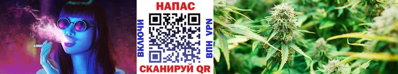 Шишки марихуана гибрид  Кондопога 